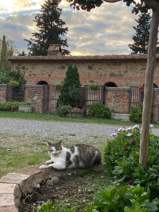 Agriturismo Il Pozzo 卡斯蒂戈隆·多尔希亚 外观 照片
