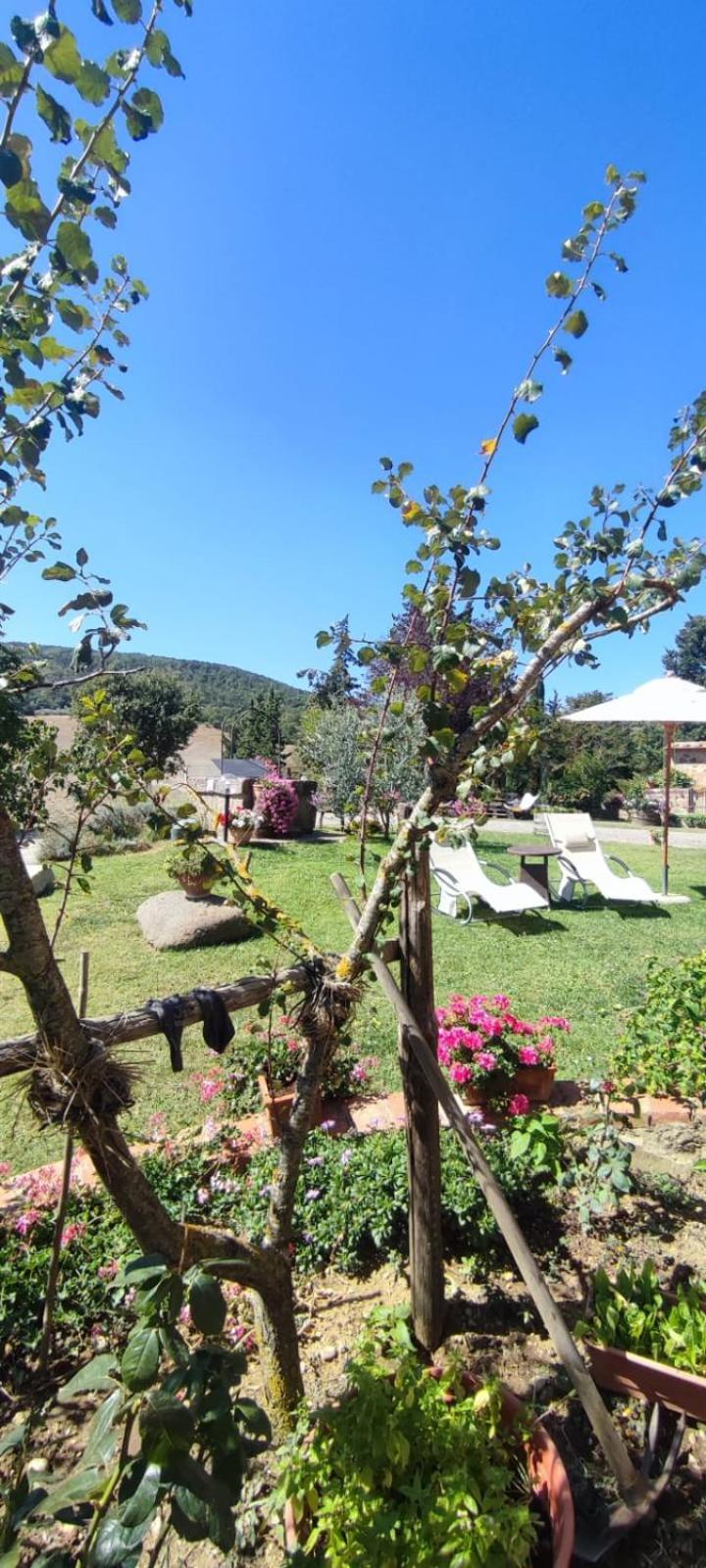 Agriturismo Il Pozzo 卡斯蒂戈隆·多尔希亚 外观 照片