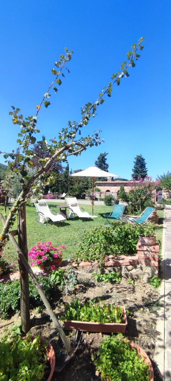 Agriturismo Il Pozzo 卡斯蒂戈隆·多尔希亚 外观 照片